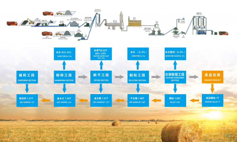 绿茵体育宣传册_13 - 副本.png